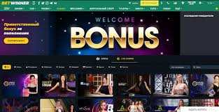 Everything You Need to Know About BetWinner -807807417